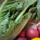 Illustration for article titled It Still Isn’t Completely Safe to Eat Romaine Lettuce, CDC Says